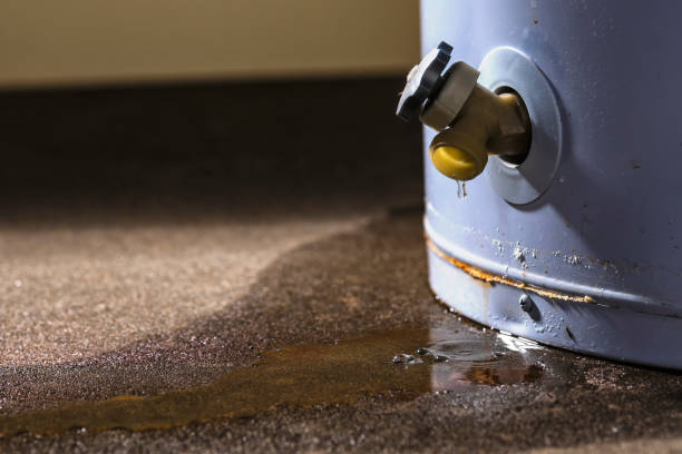 Best Water damage cleanup near me  in Folkston, GA