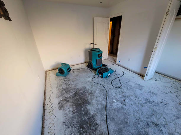 Best Residential water damage restoration  in Folkston, GA