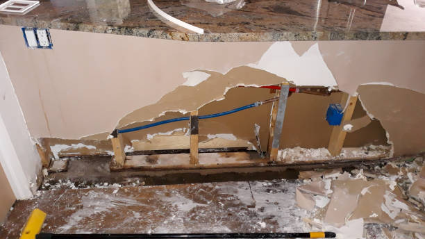 Best Flood damage cleanup  in Folkston, GA