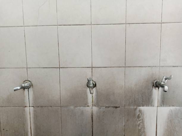 Best Water damage restoration near me  in Folkston, GA