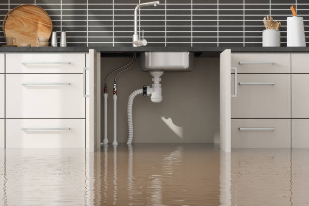 Best 24/7 water damage repair  in Folkston, GA