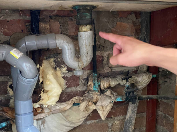 Best Commercial water damage restoration  in Folkston, GA